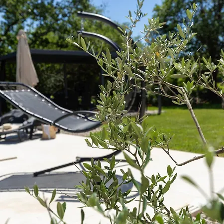 Carpe Diem Nature Heaven - Forest, Vineyard, Birdsongs & Pure Peace