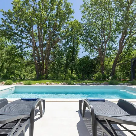 Carpe Diem Nature Heaven - Forest, Vineyard, Birdsongs & Pure Peace Veligolji